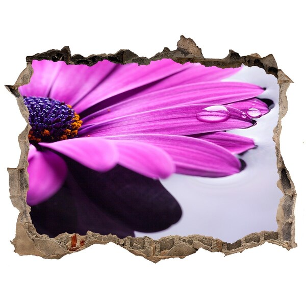 Samoprzylepna naklejka fototapeta Gerbera