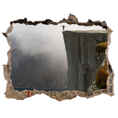 Dziura 3d w ścianie naklejka Widok z klifu nad fiordem