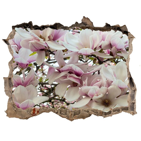 Samoprzylepna naklejka fototapeta Kwiaty magnolii