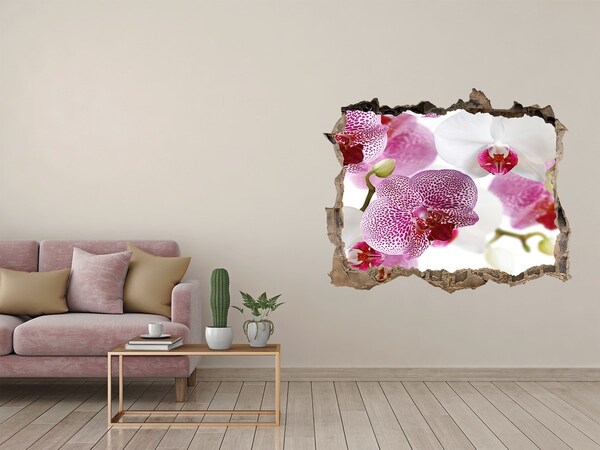 Fototapeta naklejka na ścianę fototapeta Orchidea