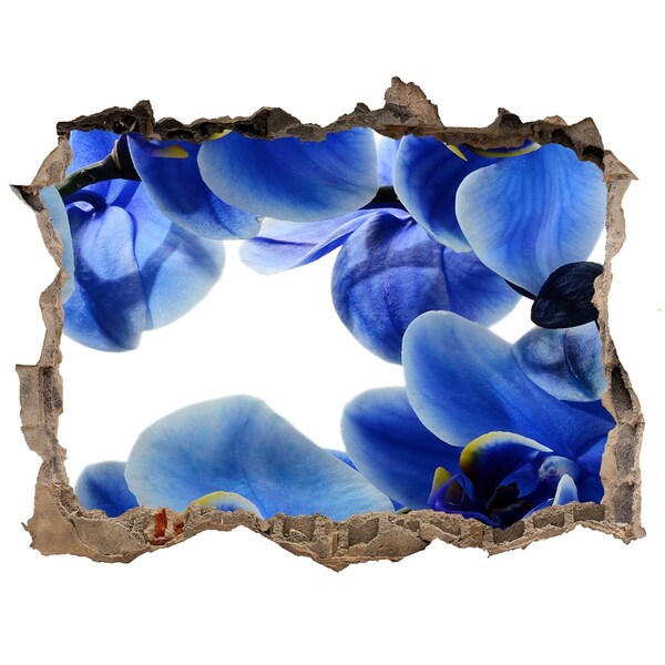 Fototapeta naklejka na ścianę Niebieska orchidea