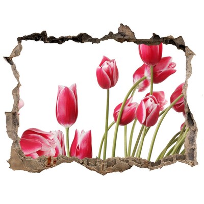 Samoprzylepna naklejka Czerwone tulipany