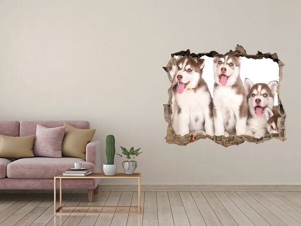 Dziura 3d fototapeta naklejka Szczenięta husky za dziurą w ścianie