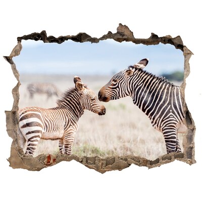 Dziura 3d fototapeta na ścianę Zebry w dzikiej naturze