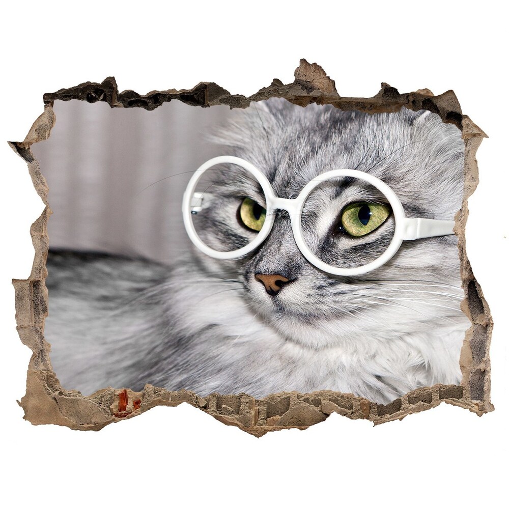 Dziura 3d fototapeta naklejka Kot w okularach