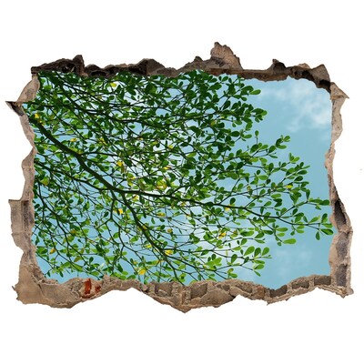 Dziura 3d w ścianie naklejka Zielone liście pod błękitnym niebem