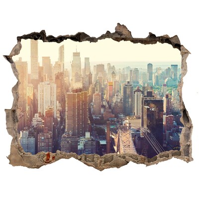 Fototapeta dziura na ścianę Widok z dziury w murze