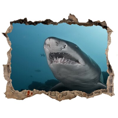 Dziura 3d fototapeta naklejka Duży rekin