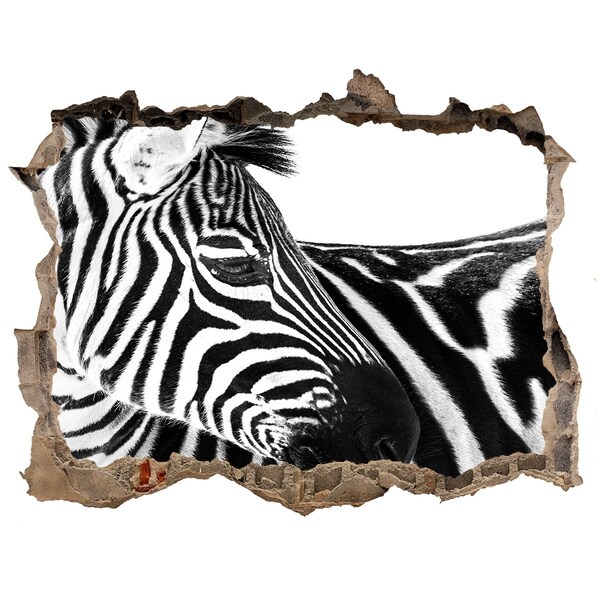 Dziura 3d fototapeta naklejka Zebra w śniegu