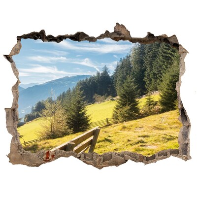 Dziura 3d w ścianie naklejka Widok górskiej doliny