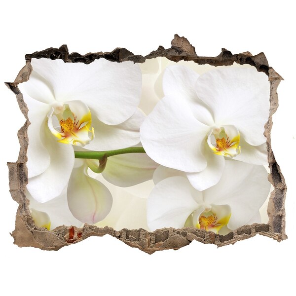 Samoprzylepna naklejka fototapeta Orchidea