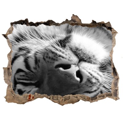 Dziura 3d fototapeta naklejka Śpiący tygrys