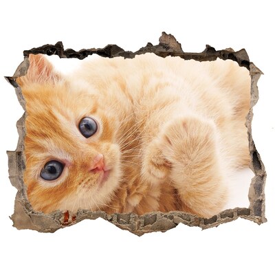 Dziura 3d fototapeta naklejka Kot w dziurze w ścianie