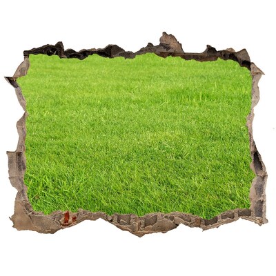 Dziura 3d w ścianie naklejka Zielona trawa