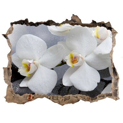 Samoprzylepna naklejka fototapeta Orchidea