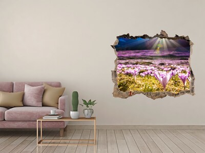 Dziura 3d w ścianie naklejka Kwiatowe pole w promieniach słońca