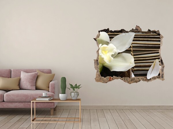 Fototapeta naklejka na ścianę fototapeta Orchidea