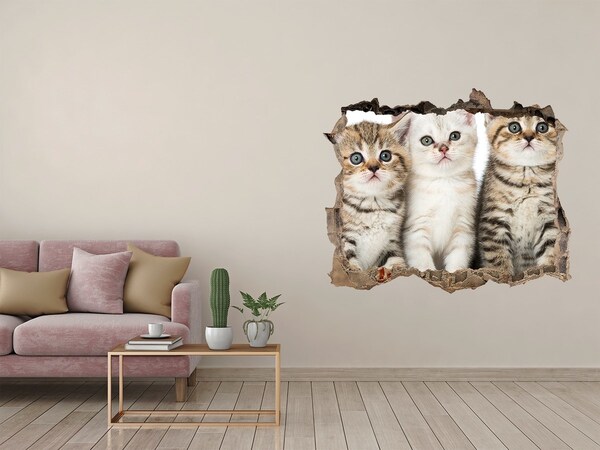 Dziura 3d fototapeta naklejka Małe koty