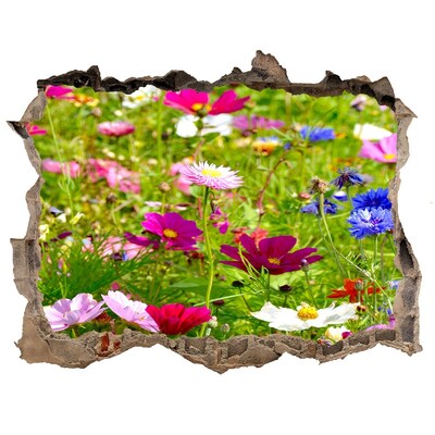 Samoprzylepna naklejka fototapeta Polne kwiaty