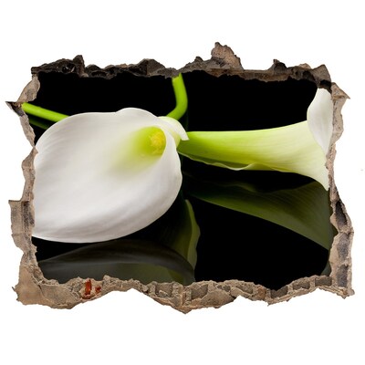 Samoprzylepna naklejka fototapeta Kwiat w betonie