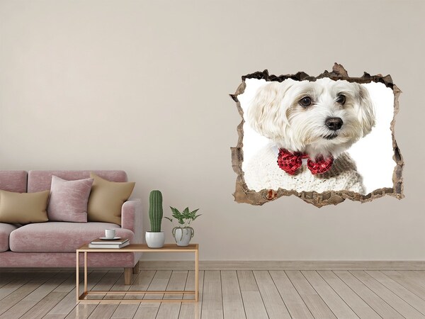 Dziura 3d fototapeta Maltańczyk w muszce