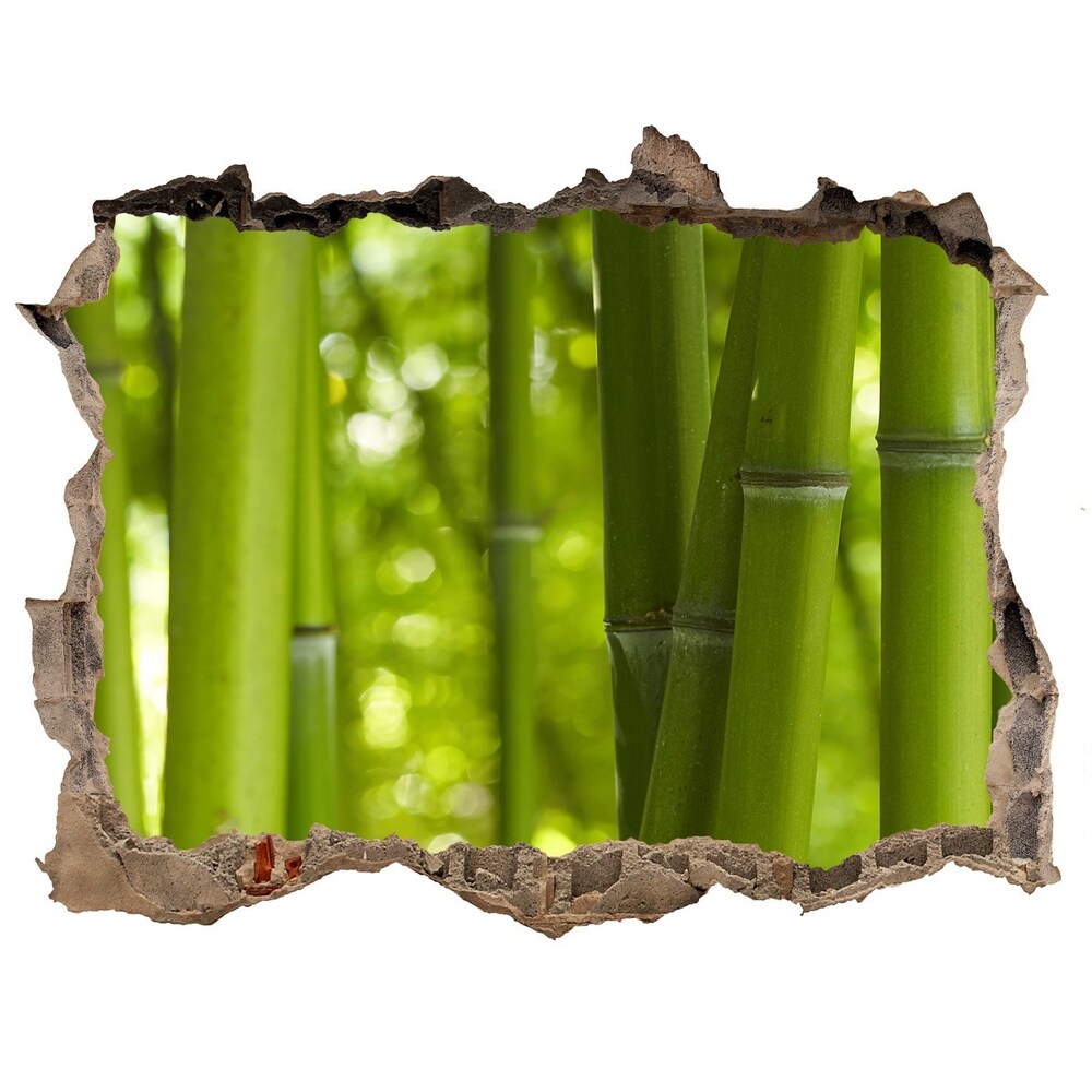 Samoprzylepna naklejka fototapeta Bambus