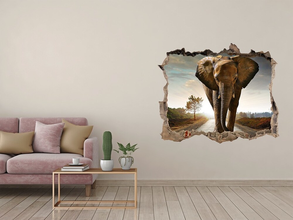 Dziura 3d fototapeta na ścianę Spacerujący słoń