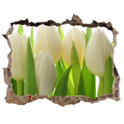 Samoprzylepna naklejka fototapeta Tulipany