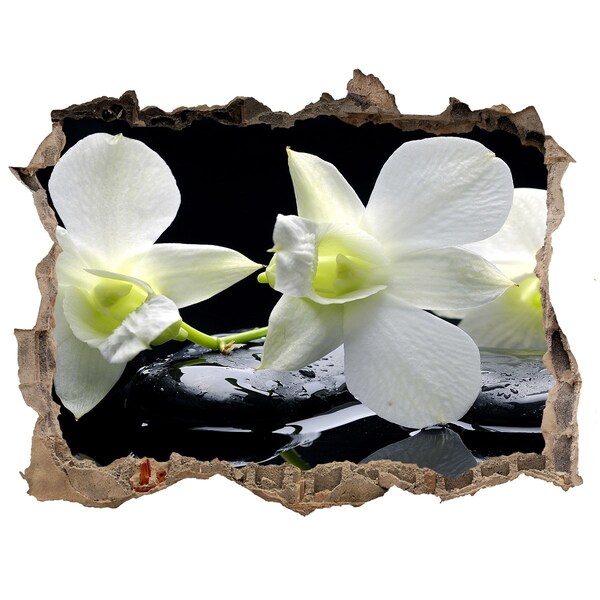 Samoprzylepna naklejka fototapeta Orchidea