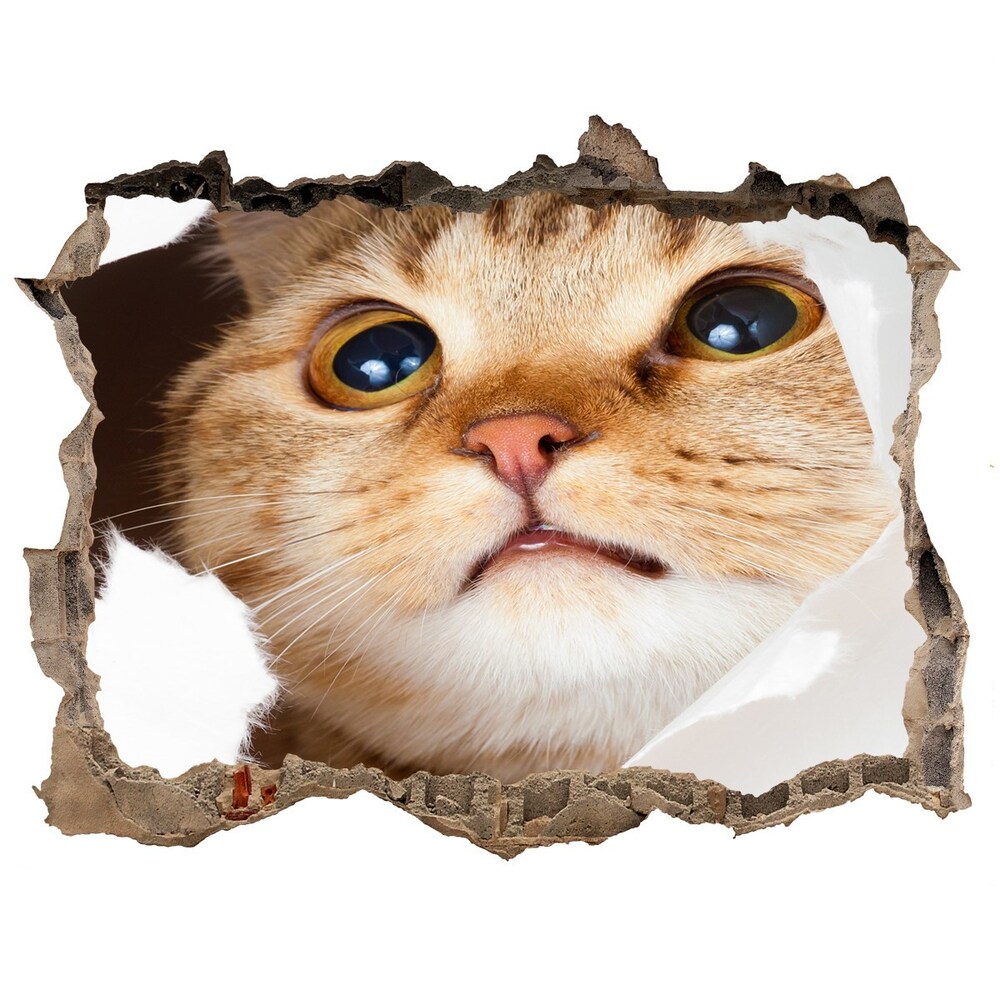 Dziura 3d fototapeta na ścianę Kot w dziurze