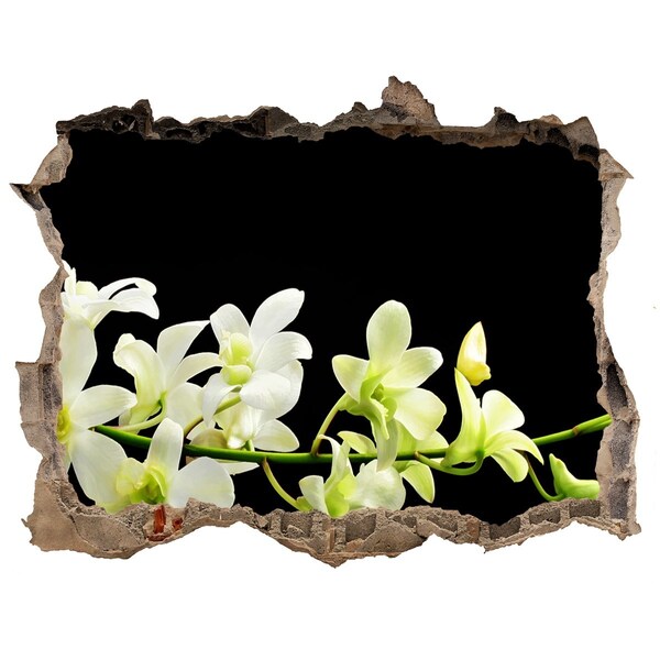 Samoprzylepna naklejka fototapeta Orchidea