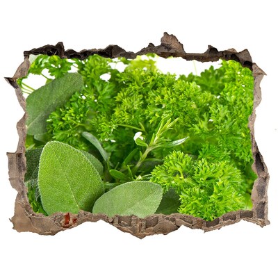 Naklejka 3D dziura okleina Zielona oaza w betonie