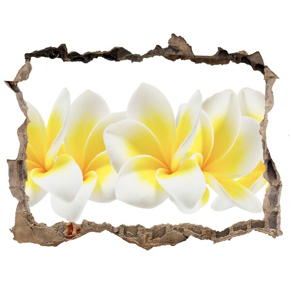 Samoprzylepna naklejka fototapeta Plumeria