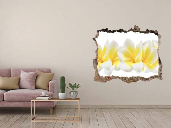 Samoprzylepna naklejka fototapeta Plumeria