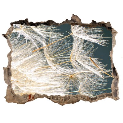 Samoprzylepna naklejka Kwiatowy krajobraz za dziurą