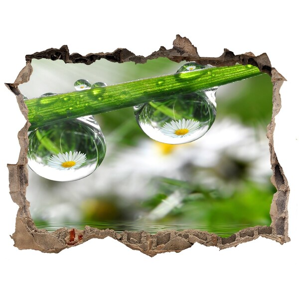 Samoprzylepna dziura naklejka Kwiatowa oaza z kroplami wody