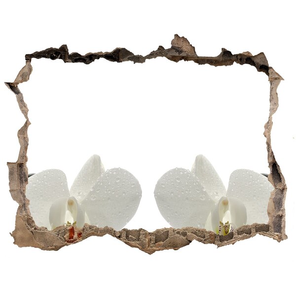 Samoprzylepna dziura na ścianę naklejka Kwiaty w betonie