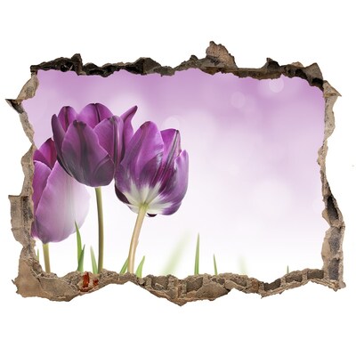 Samoprzylepna dziura naklejka Filetowe tulipany