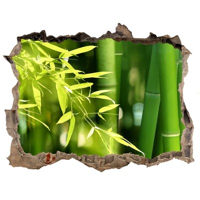 Samoprzylepna dziura na ścianę naklejka Zielony las bambusowy