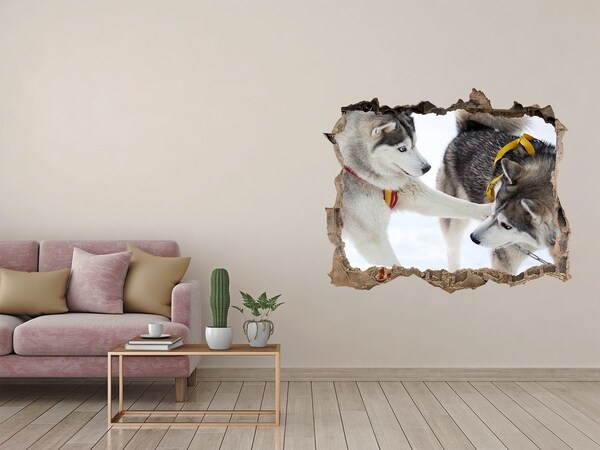 Dziura 3d fototapeta na ścianę Husky zimą