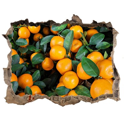 Naklejka 3D dziura okleina beton Owoce w ogrodzie pomarańczowym