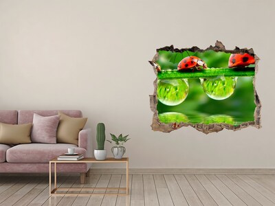Dziura 3d fototapeta na ścianę Kropla natury z biedronką