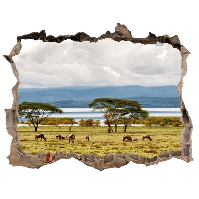 naklejka fototapeta 3D widok Jezioro Naivasha