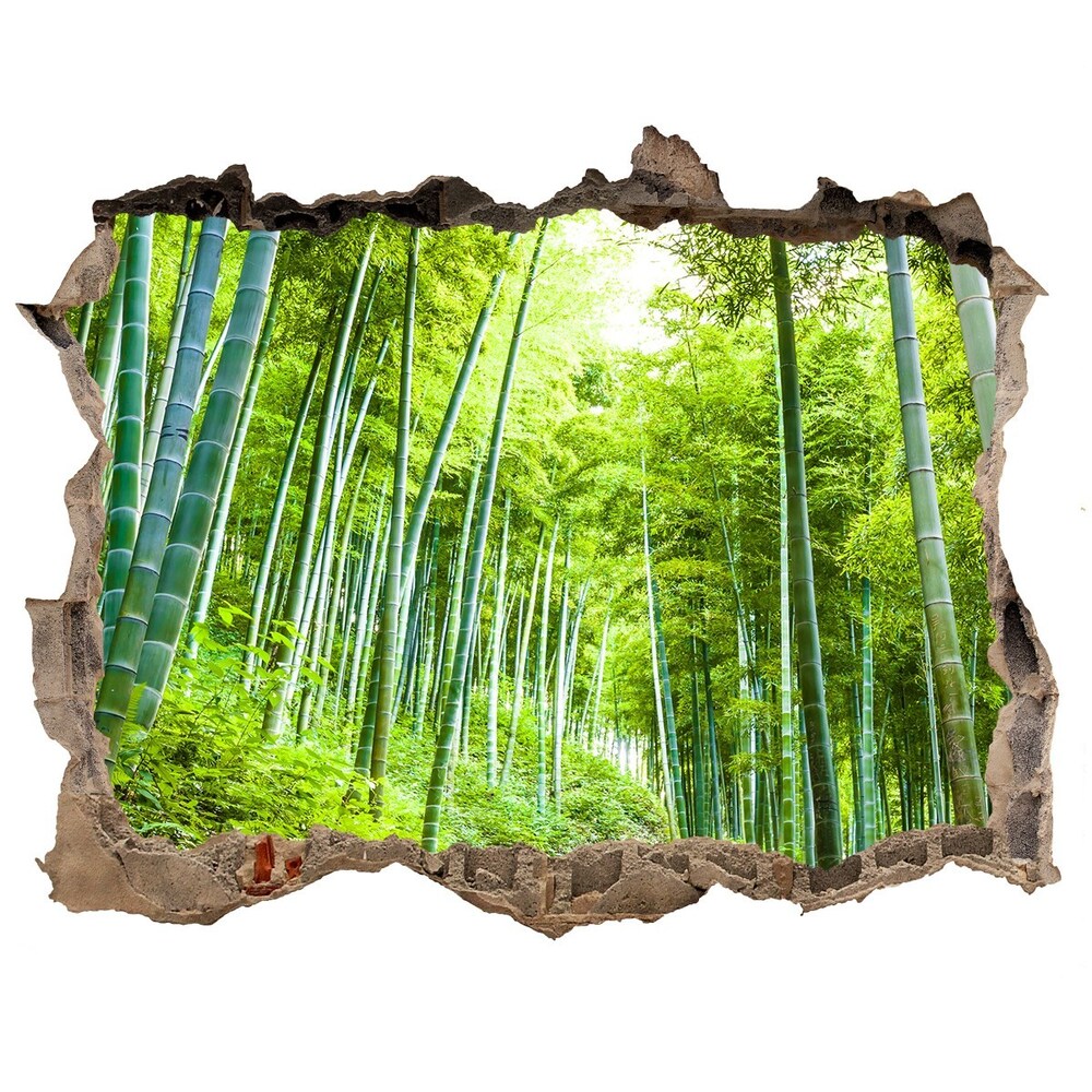naklejka fototapeta 3D widok Las bambusowy