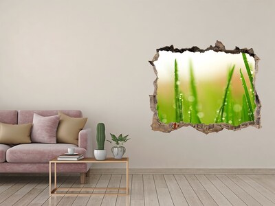 Samoprzylepna dziura na ścianę naklejka Zielona łąka z kroplami wody