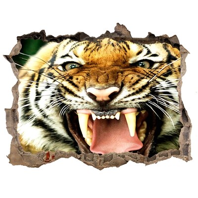 Dziura 3d fototapeta naklejka Ryczący tygrys