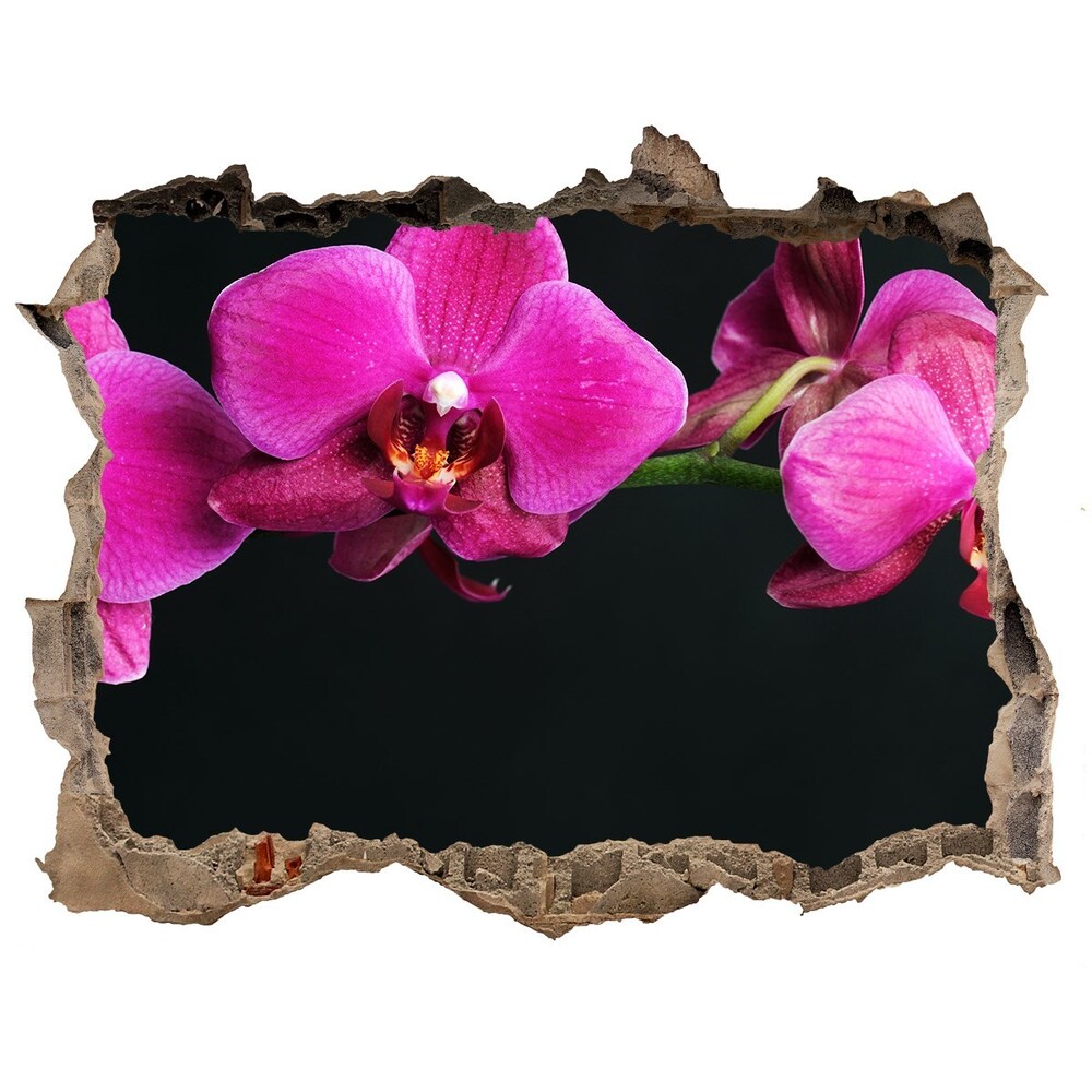 Samoprzylepna dziura naklejka Orchidea