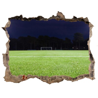 Fototapeta dziura na ścianę 3d Murawa piłkarska