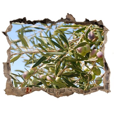 Samoprzylepna dziura naklejka Drzewo oliwne