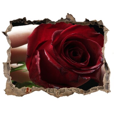Fotoobraz dziura na ścianę Róża w zniszczonej ścianie